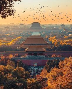 a group of birds flying in front of a building at East Sacred Hotel--Beijing Tiananmen Square ,the Forbidden City,Wangfujing Street in Beijing