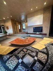 TV a/nebo společenská místnost v ubytování Panoramic VILLA