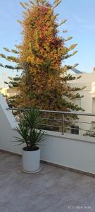 Balkón nebo terasa v ubytování LEO Haute standing appartment S1 center ville Monastir