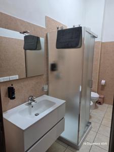 een badkamer met een wastafel en een douche bij B&B Domus Morfeo 2 in Casagiove