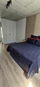 una camera da letto con un letto grande e armadi bianchi di Ebbies place a Cape Town