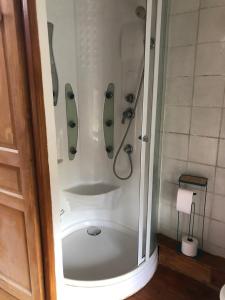 um banheiro com chuveiro com porta de vidro em Vercors en Vert , chambres d'hôtes de charme em Saint-Romans