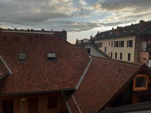 a view of roofs of buildings in a city at Annecy Carnot in Annecy