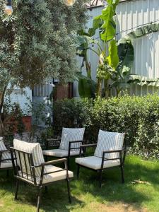 un gruppo di sedie sedute sull'erba di aden suits teras a Fethiye