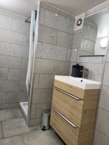 une salle de bain avec lavabo et douche dans l'établissement Gîte des Prés, à Revin