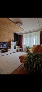 un ampio soggiorno con divano e TV di Bondar Residence a Galaţi