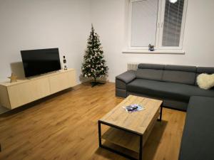 TV a/nebo společenská místnost v ubytování LUMA ubytovanie