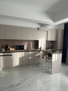 una cucina con armadietti in acciaio inossidabile e bancone di ApartStudio28 Craiova a Craiova