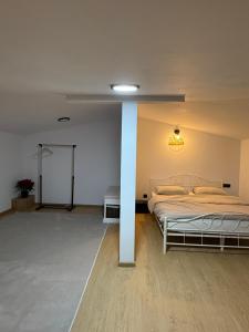 una camera con letto e palo di ApartStudio28 Craiova a Craiova Altre 6 foto