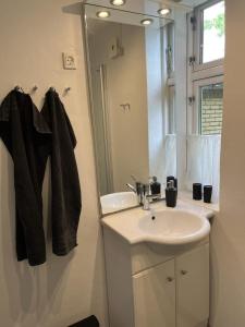 un bagno con lavandino e specchio di Idyllic Countryside Farm with Horseback Riding a Borup Altre 24 foto