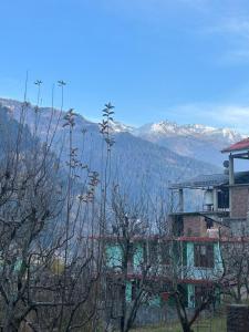 Φυσικό τοπίο κοντά σε αυτό το δωμάτιο σε οικογενειακή κατοικία