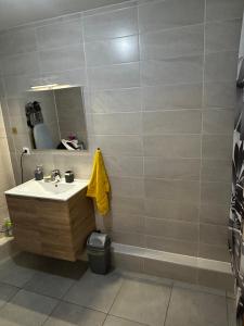 イルキルシュ・グラフェンスタデンにあるApparemment 3 pièce Strasbourg Ilkirch graffenstadenの洗面台と鏡のあるバスルーム +26枚の写真