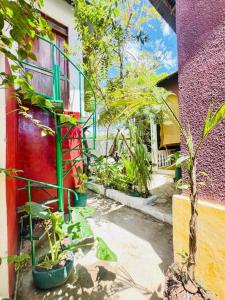 Zahrada ubytování Rafiki Zanzibar Residence