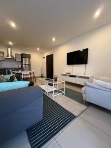 TV a/nebo společenská místnost v ubytování Gallery Apartment