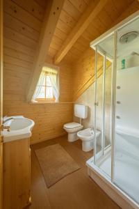 Et badeværelse på Tarvisio Cozy Alpine Refuge with Gym