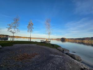 Naturlandskabet i nærheden af lejligheden