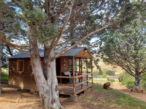 En have udenfor CABINS & CARAVAN at Old Mill Drift Guest Farm