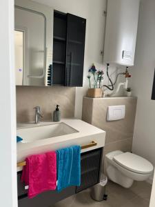 un bagno con lavandino, WC e specchio di Sof tiny a Moyenmoutier