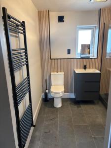 a bathroom with a toilet and a sink and a mirror at The New 2 Plas Morolwg in Aberystwyth
