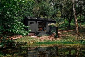 a tiny house in the woods next to a body of water at Cabana Fora in São Francisco de Paula