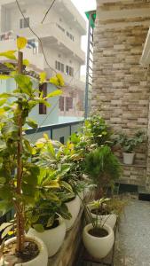 En have udenfor Anand stay