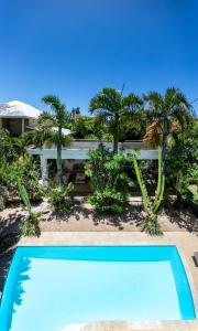 a swimming pool in front of a house with palm trees at Private Villa Azure Garden with pool in Grand Baie
