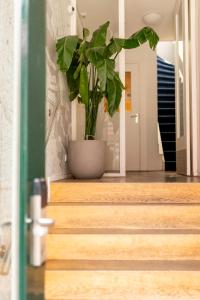 Fotografie z fotogalerie ubytování Hotel La Bohème v destinaci Amsterdam