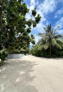 een zandstrand met palmbomen en een blauwe lucht bij Sosun View Private Villa in Thoddoo +18 foto's