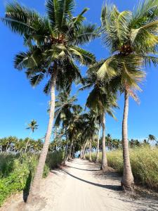 een rij palmbomen op een onverharde weg bij Sosun View Private Villa in Thoddoo