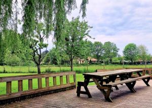 En have udenfor Grand Gîte Le Saule en Scie - 3 étoiles - Spa chauffé, 12 à 14 pers, jardin clos, 30 mn PuyduFou