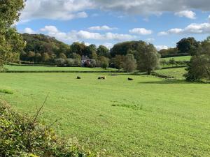 Fotografie z fotogalerie ubytování De Molenhoeve Gezinswoning v destinaci Voeren + 12 fotografií