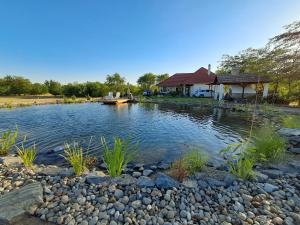 a pond with a house in the background at Hármaspuszta Vendégház in Fülöpszállás