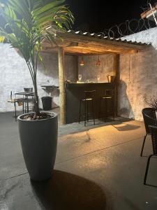 uma planta num grande vaso sentado num pátio em Acolhedora casa de 03 quartos em Passos mais 24 fotografias