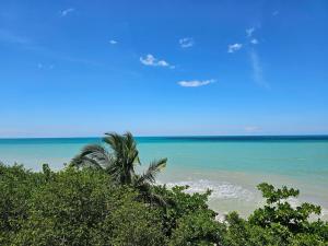 Příroda nedaleko prázdninového domu