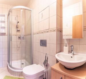 a bathroom with a shower and a toilet and a sink at Lomnica Orange Apart in Tatranská Lomnica +14 photos