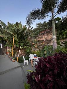 un jardín con 2 sillas blancas y una palmera en Casa igba, en Río de Janeiro