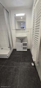 une salle de bains avec un lavabo et un miroir dans l'établissement Schwarzwald-Apartments-Vogel, à Hüfingen