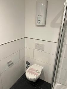 une petite salle de bain avec toilettes et douche dans l'établissement Schwarzwald-Apartments-Vogel, à Hüfingen