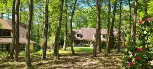 une maison dans les bois avec des arbres dans l'établissement Le Bois Fleuri - 7500 m² de jardin, à La Couture-Boussey