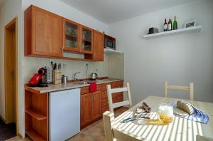 Kuchyň nebo kuchyňský kout v ubytování Apartmán Borůvka + 10 fotografií