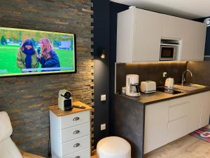 a kitchen with a tv on a brick wall at Appartement 203 in Saint-Lary-Soulan