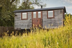een kleine houten hut in een veld van hoog gras bij 1 Bed in Masbury oc-l32718 in Oakhill +15 foto's
