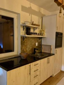 Η κουζίνα ή μικρή κουζίνα στο Villa Golden View TD Sarajevo +10 φωτογραφίες