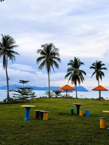 Un paisaje natural cerca de la casa de huéspedes 29 fotos más