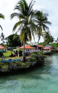 a palm tree sitting next to a body of water at Panglima Resort Bum Bum Island, Semporna in Semporna +20 photos