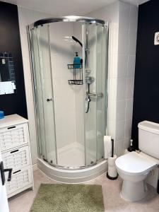 a bathroom with a shower with a toilet and a sink at The Flower Loft in Yeovil