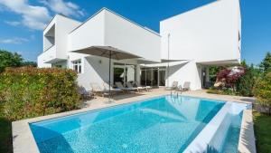 Πισίνα στο ή κοντά στο Luxury Villa Kate with pool in Zminj