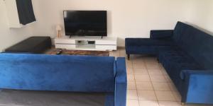 ein Wohnzimmer mit 2 blauen Sofas und einem TV in der Unterkunft Gîte proche du Futuroscope in Jaunay-Clan
