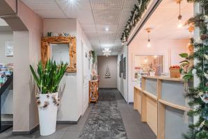 um corredor de loja com um espelho e plantas em Residhotel Mulhouse Centre em Mulhouse