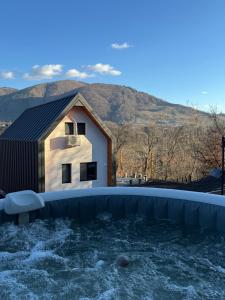 a house with a pool in front of it at Kolibe Doftana in Trăisteni